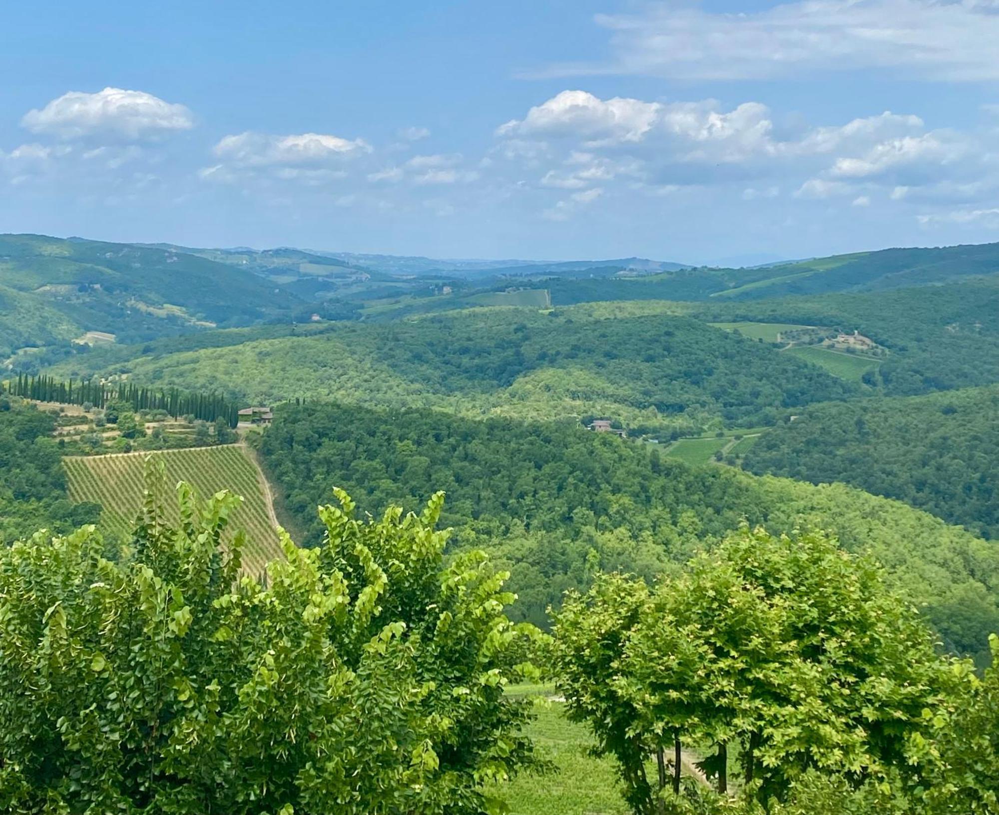 Casa Marina Villa Radda in Chianti Luaran gambar